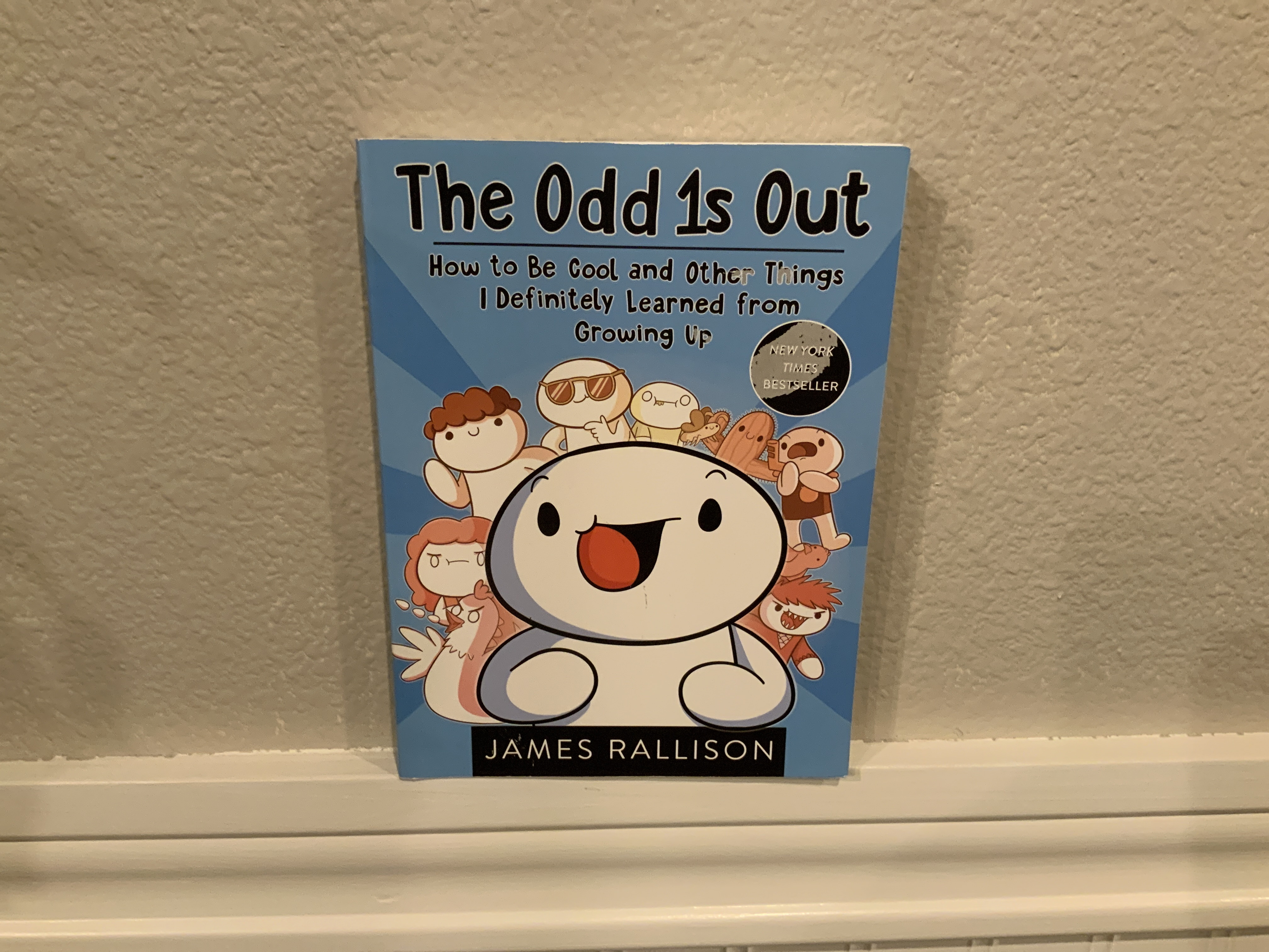 Book - The Odd 1s Out