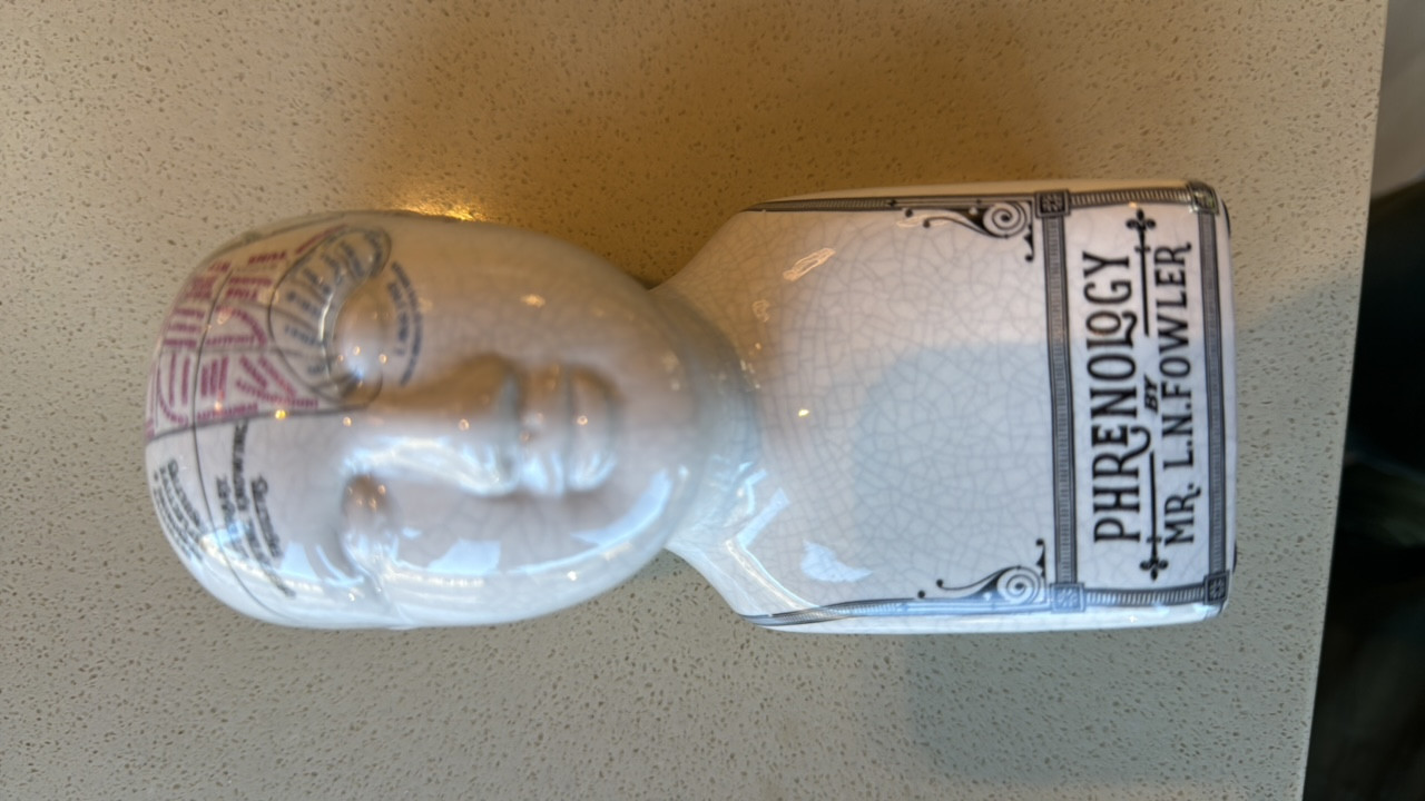 Ceramic Phrenology Head Bust